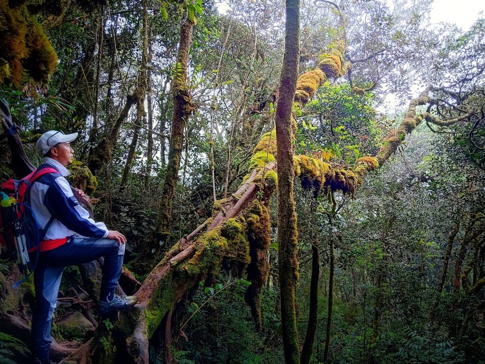 Photograph by Shahrulnizam