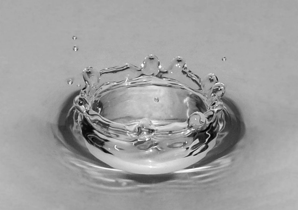 Photograph by Anna Doncila