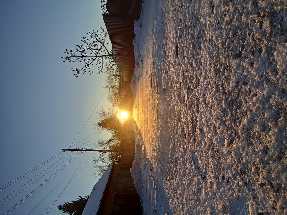 Photo #4389231