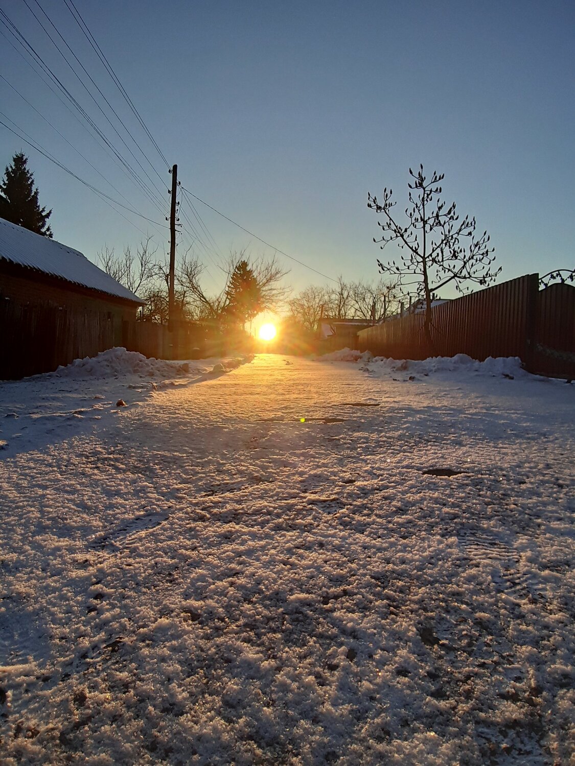 Photo #4389231