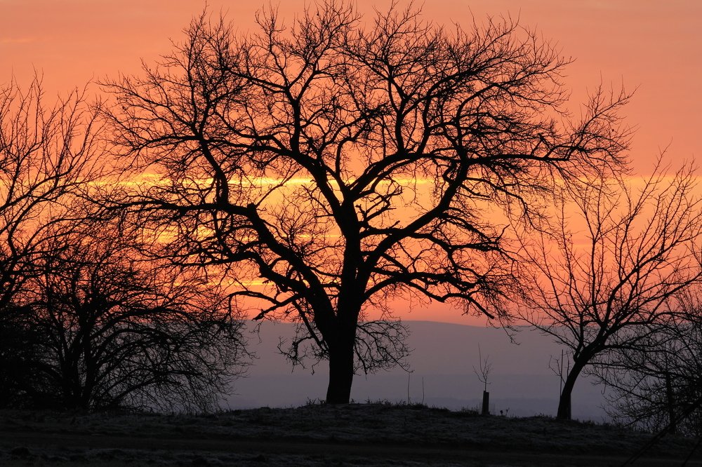 Photograph by Елена Боганова