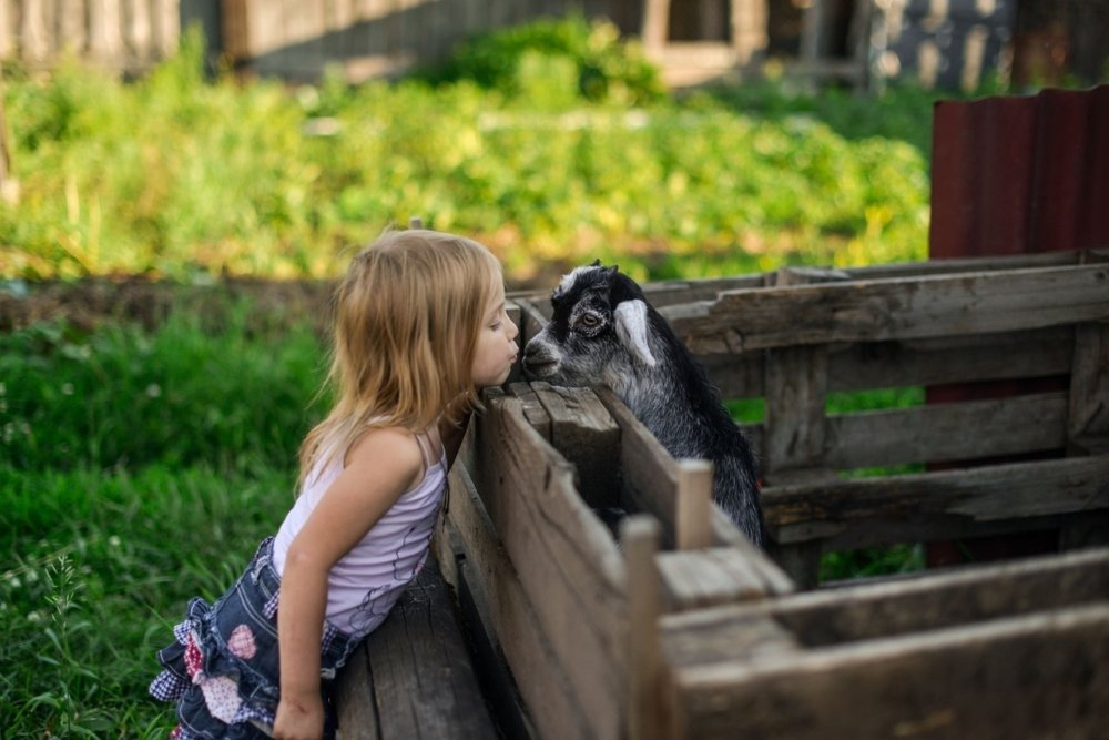 Photograph by Анастасия Фёдорова