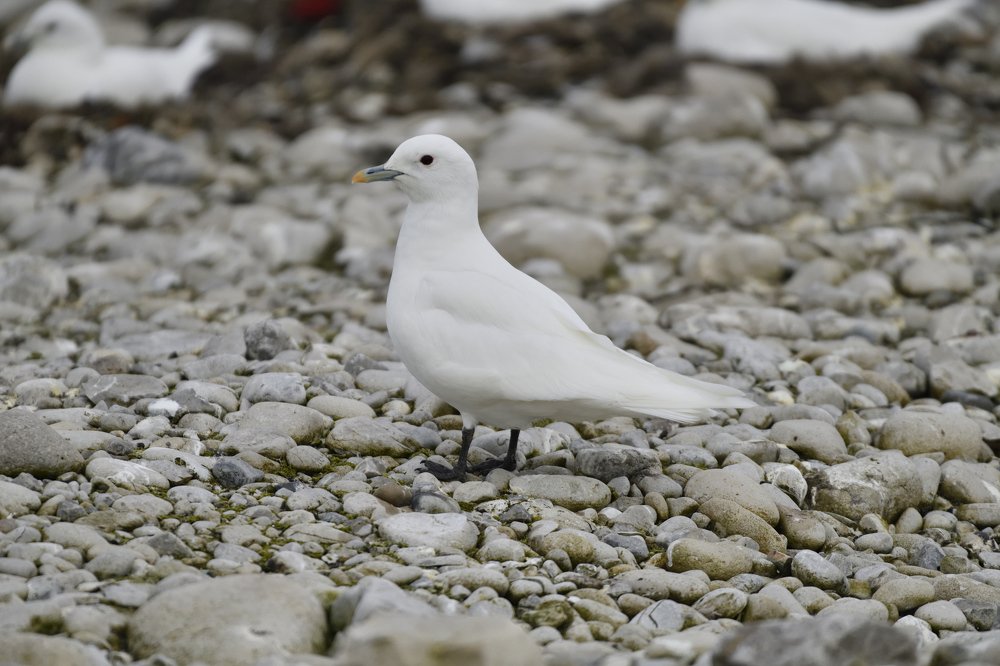 Photograph by Алекс Ежов