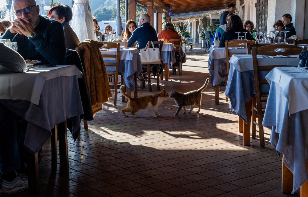 Photograph by Игорь Калинин