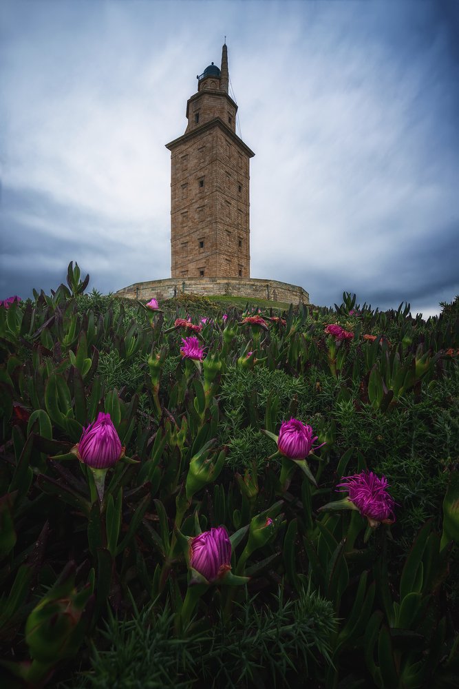 Photograph by Alvaro Sanchez Jiménez