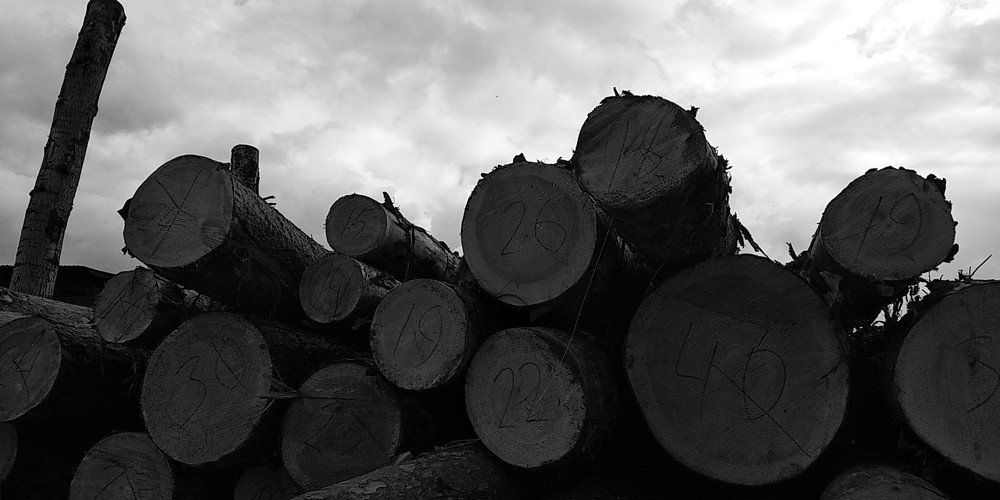 Photograph by Ирина Саттарова