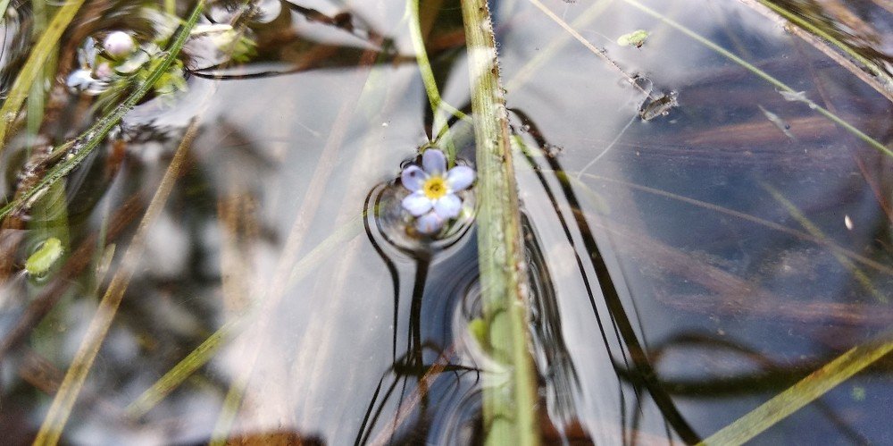 Photograph by Ирина Саттарова