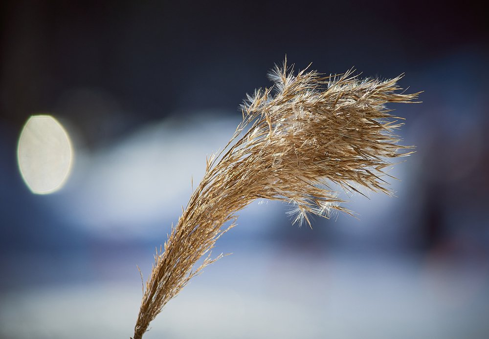 Photograph by Сергей Лисов