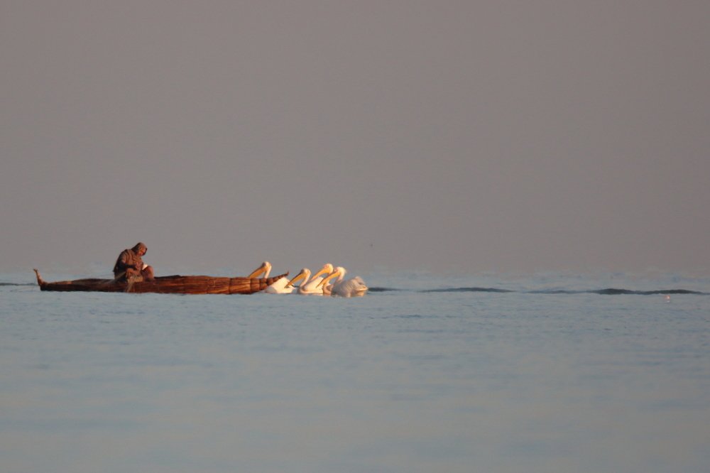 Photograph by Mike Temmerman