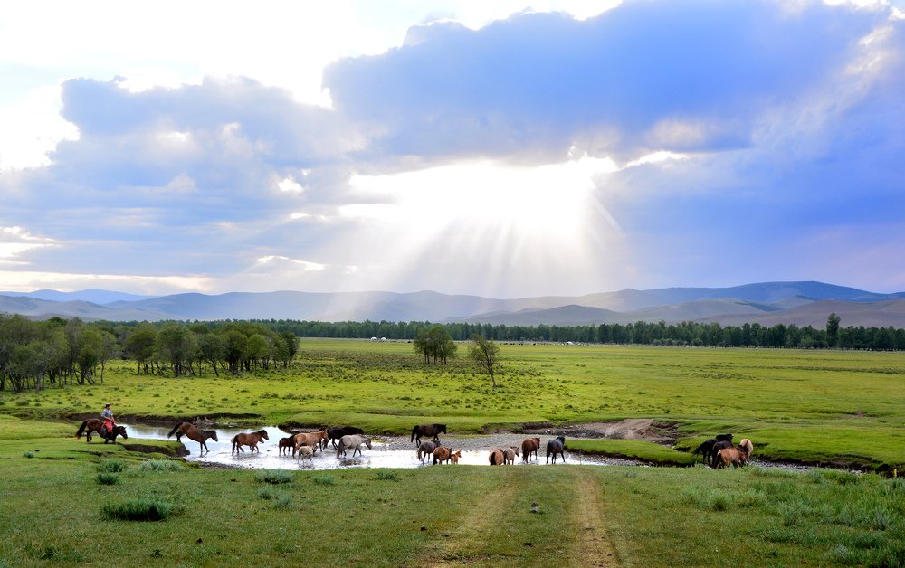 Photograph by Гүнтэн З.