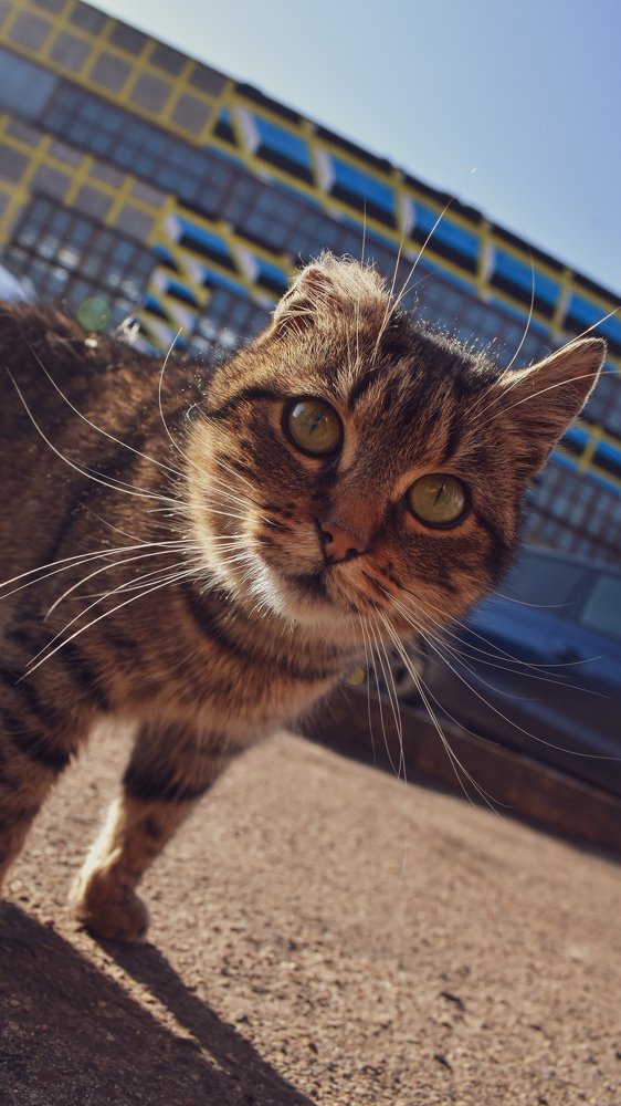 Photograph by Артем Макаров