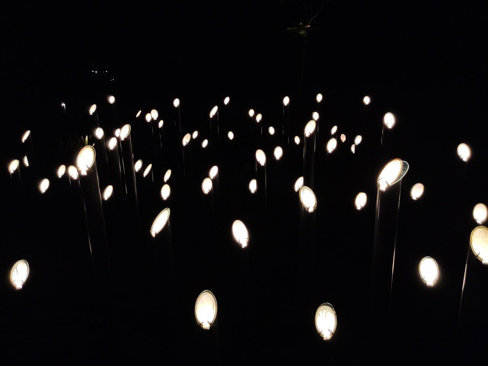 So many hopes into the dark