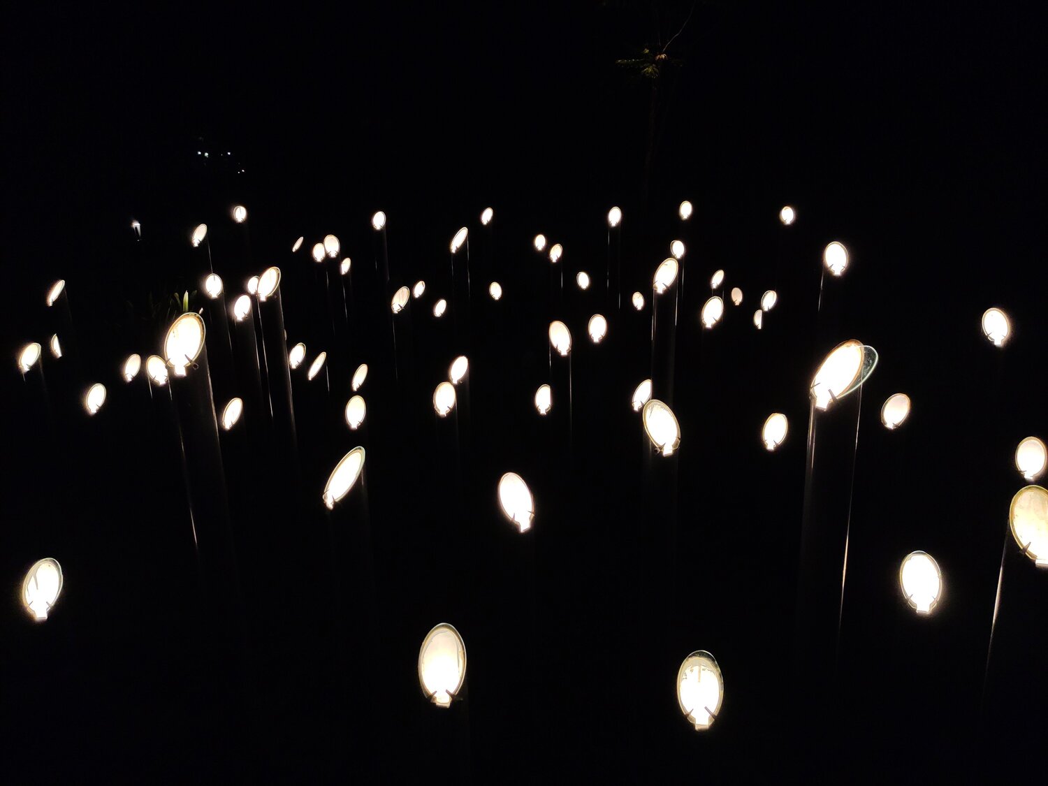So many hopes into the dark