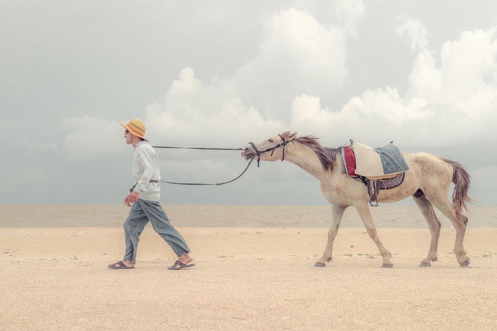 Photograph by Михаил Потапов