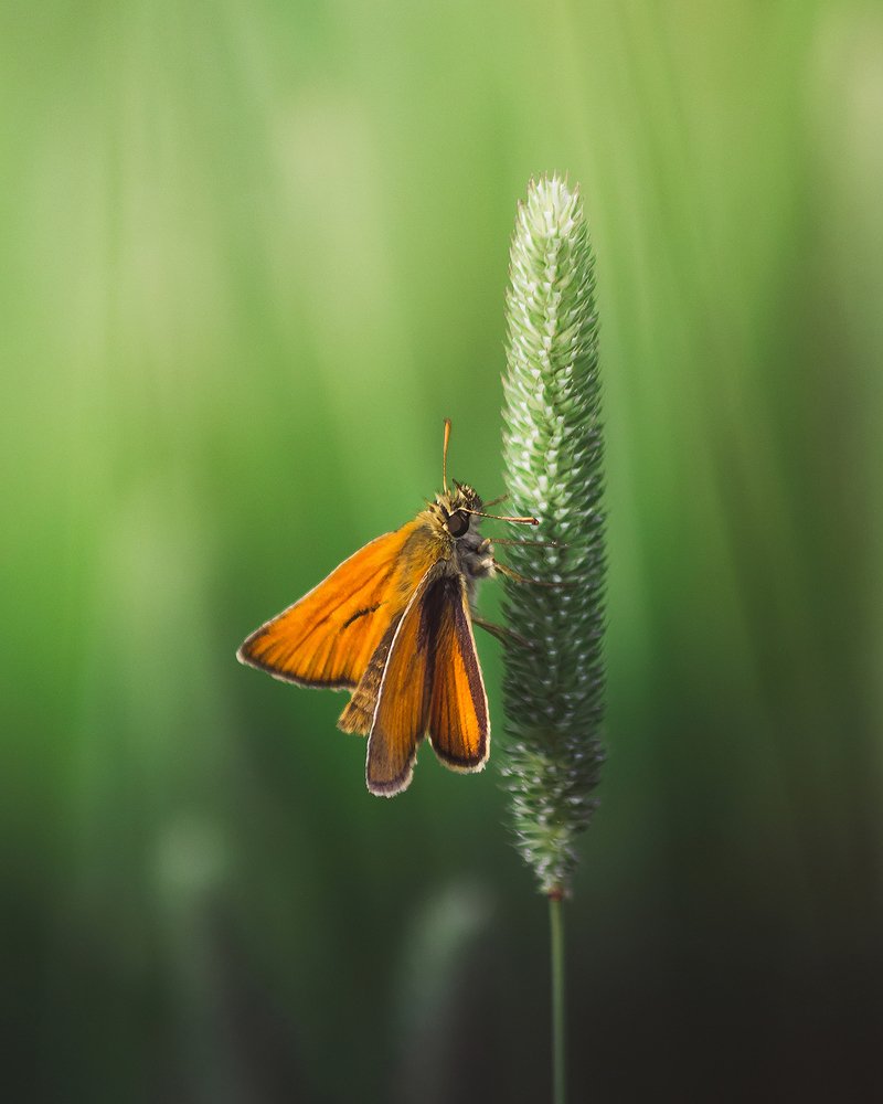 Photograph by Никита Курбатов