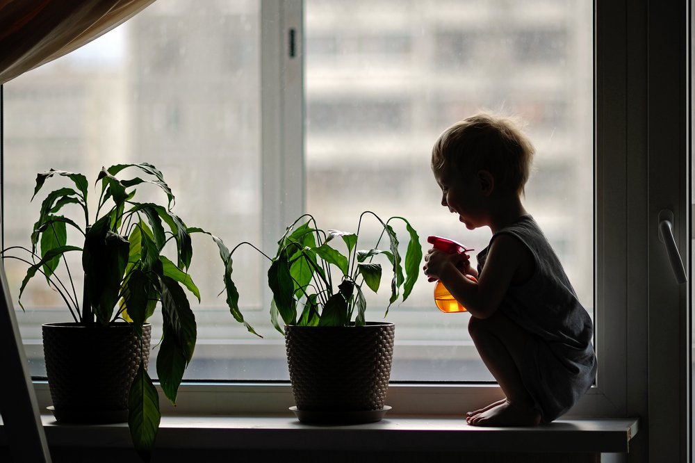 Photograph by Михаил Калинин