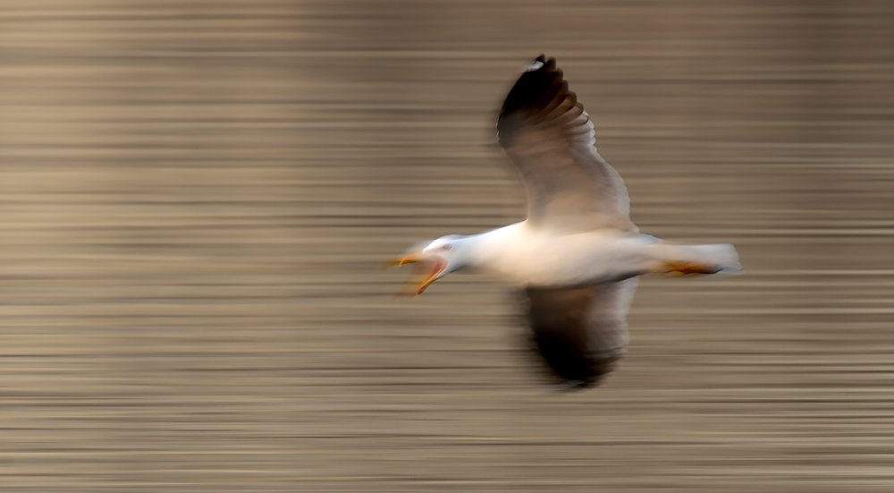 1/15-я полёта.