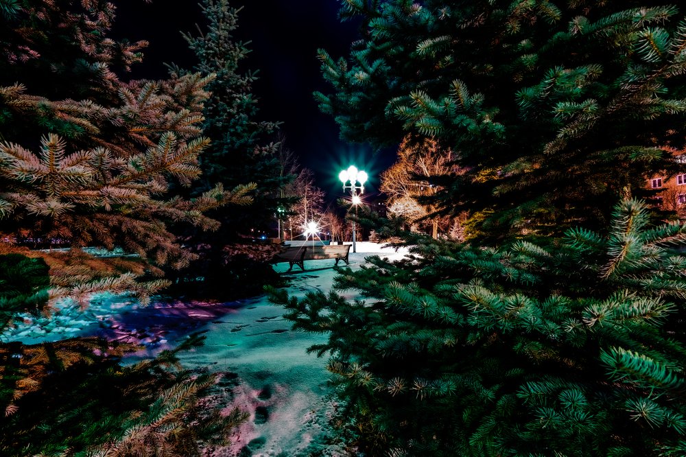 Photograph by Дммтрий Воробьев