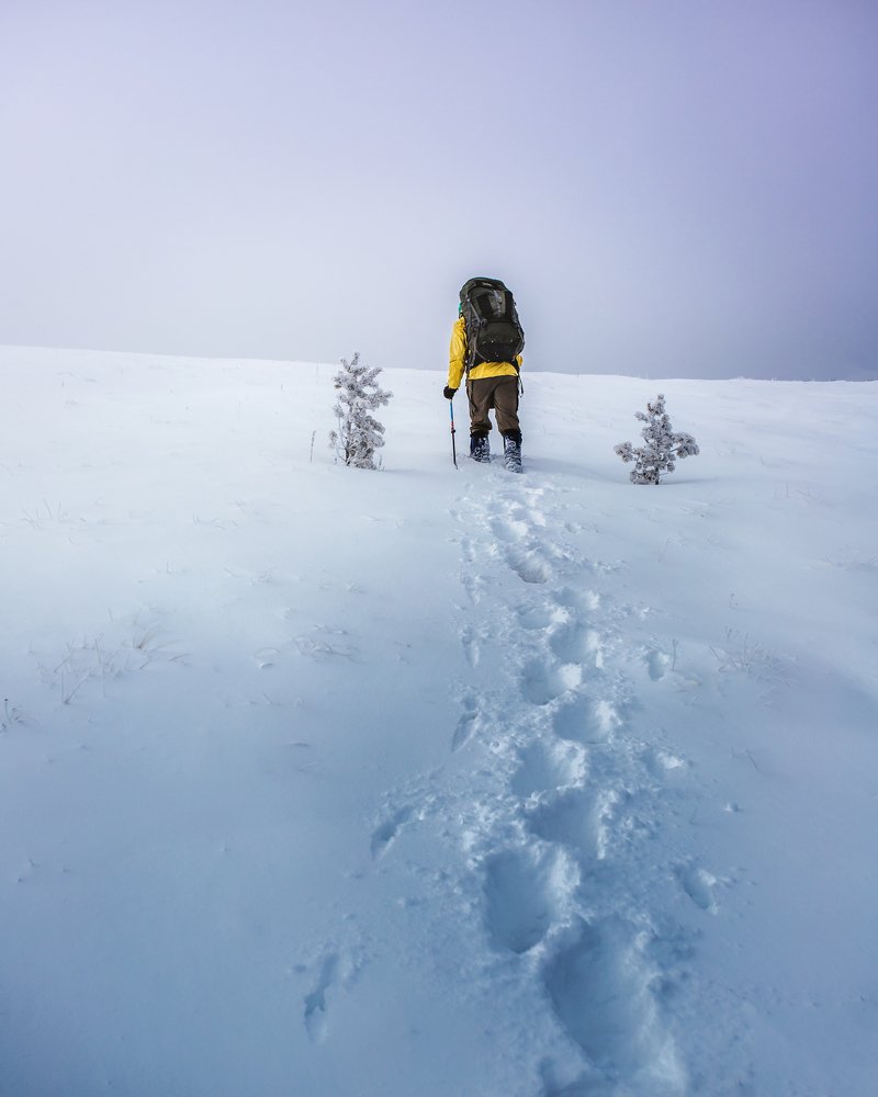 Photograph by Никита Курбатов