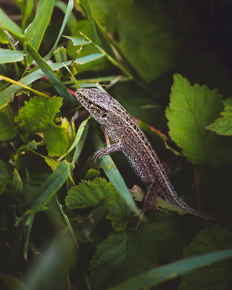 Photograph by Никита Курбатов