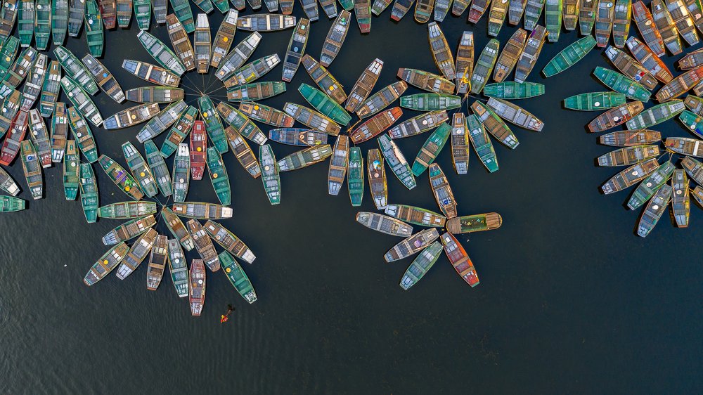 Photograph by Tran Minh Dung