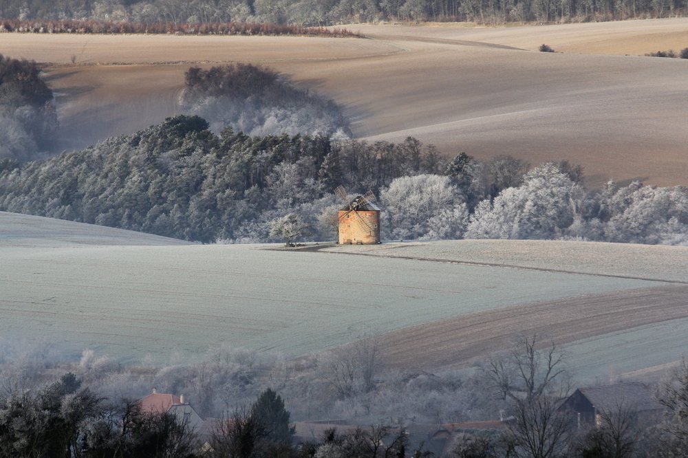 Photograph by Елена Боганова