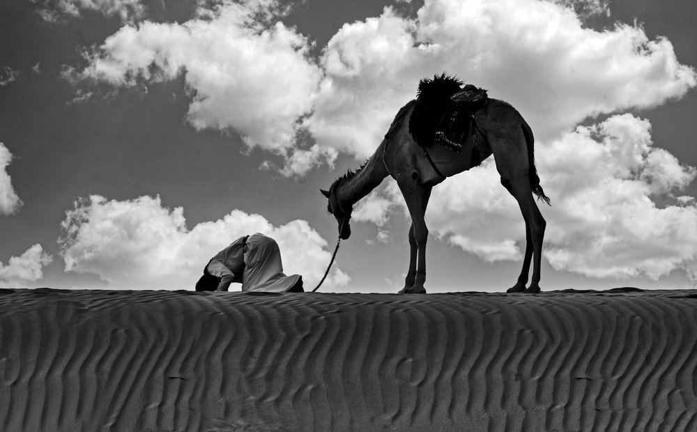 Photograph by Said Albadi