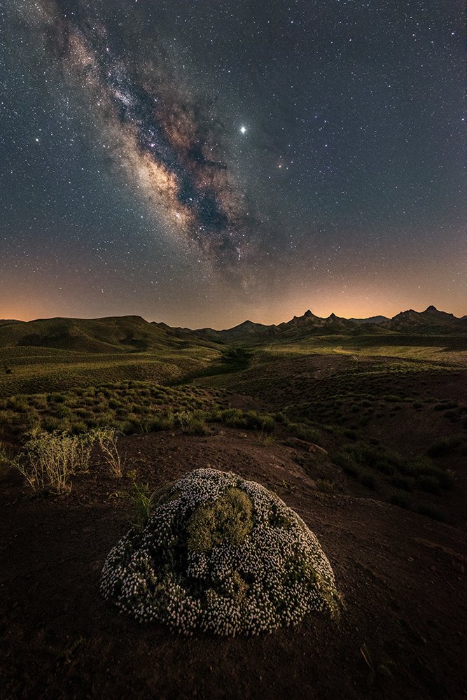 Photograph by Seyed Mohammad Mousavi Nadooshan