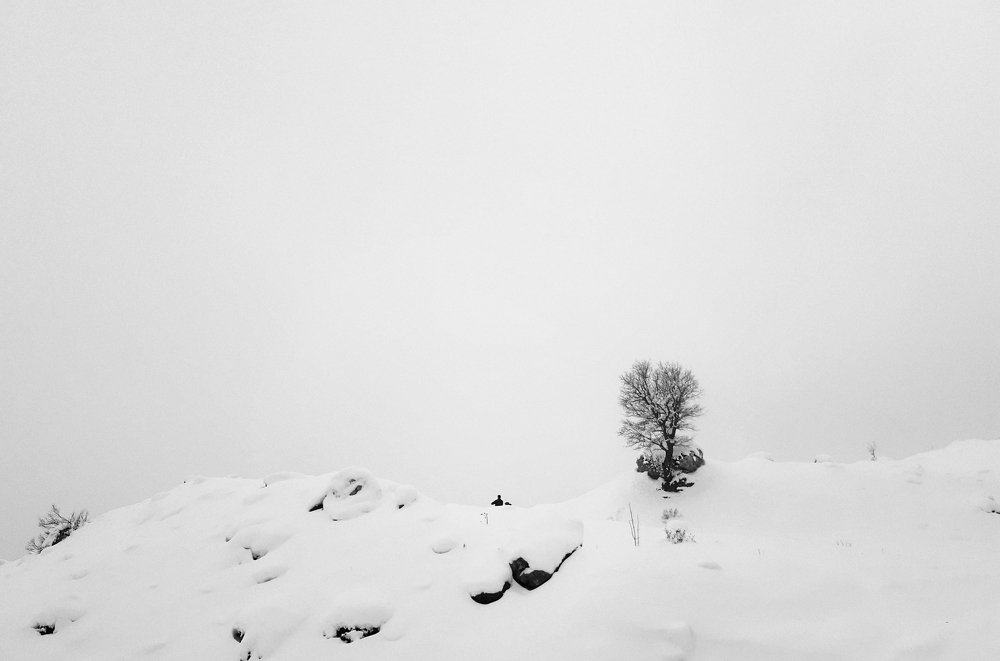 Photograph by porya sahraei