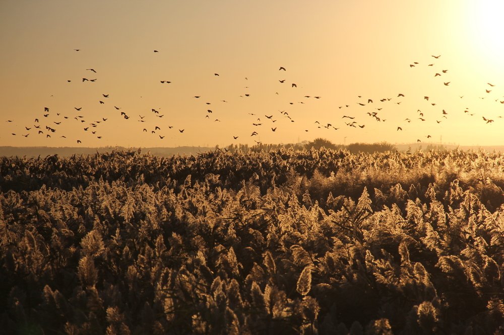 Осенний закат