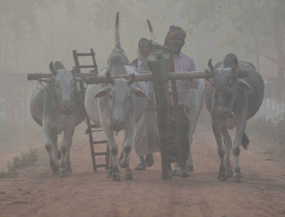 Photograph by Rifat Hossain