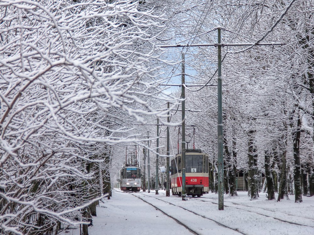 Трамвай Пятерочка.