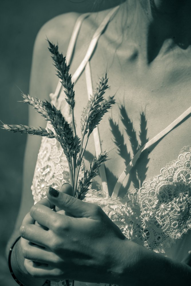 Photograph by Дмитрий Павлов