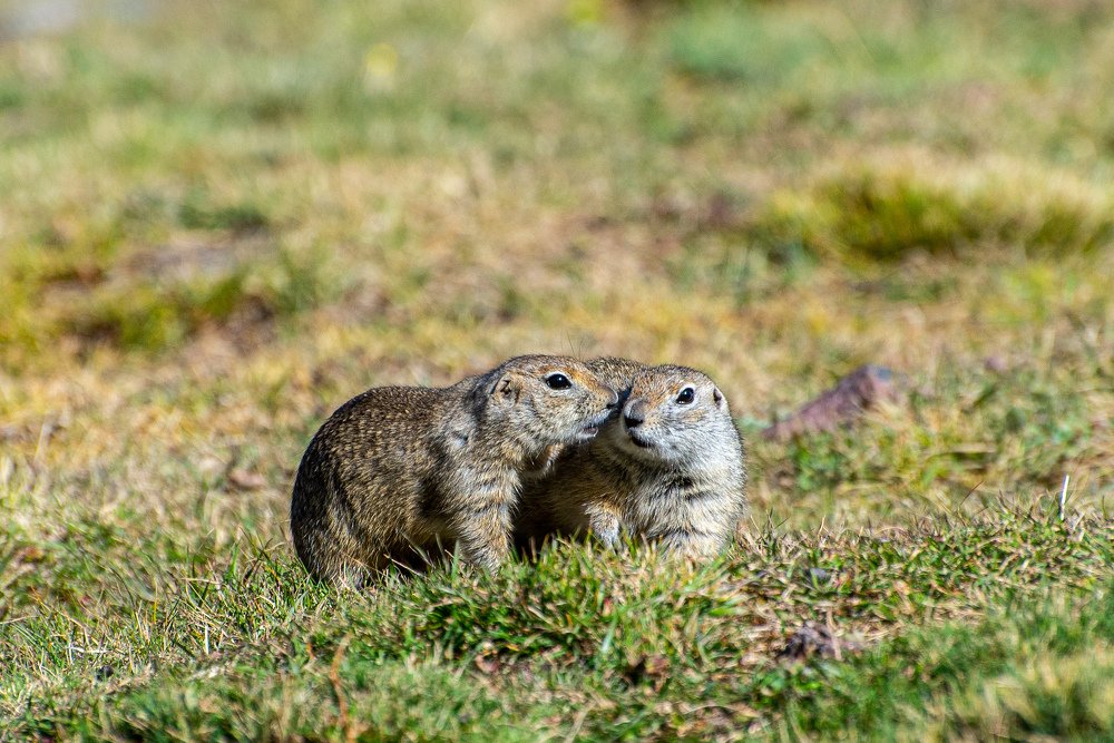 Photograph by Дмитрий Павлов