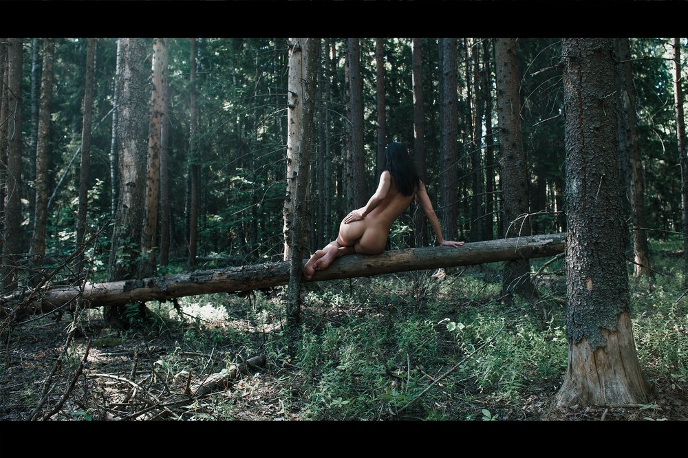 Фотография автора Андрей Вепрынцев