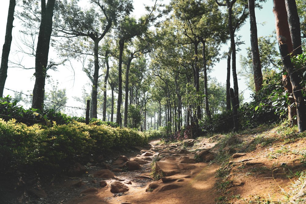 Photograph by Muhammed Sooraj S V