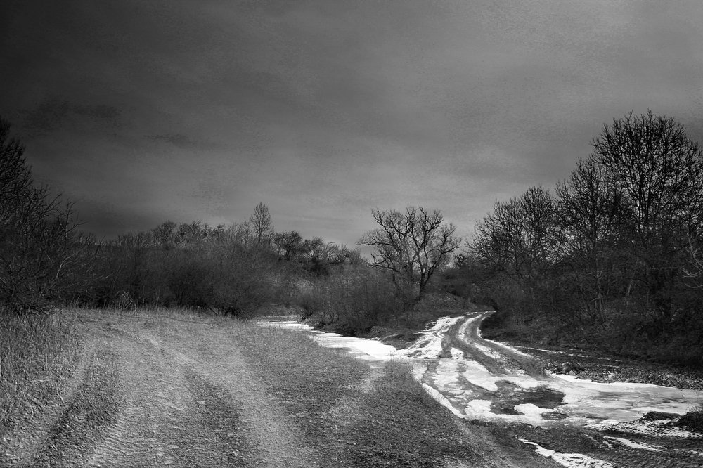 Photograph by Анастасия Ицкевич