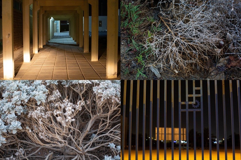 Photograph by Zoya Alsharawneh