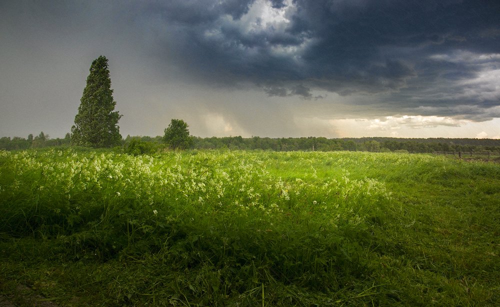 Photograph by Михаил Карпов