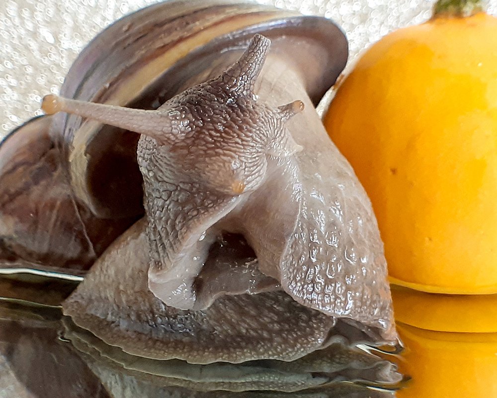 Photograph by Inessa Botasheva