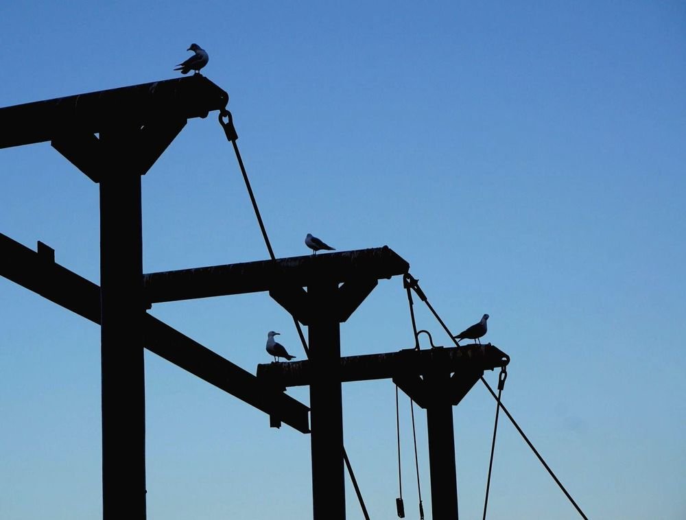 Photograph by Andrii Akhtyrskyi