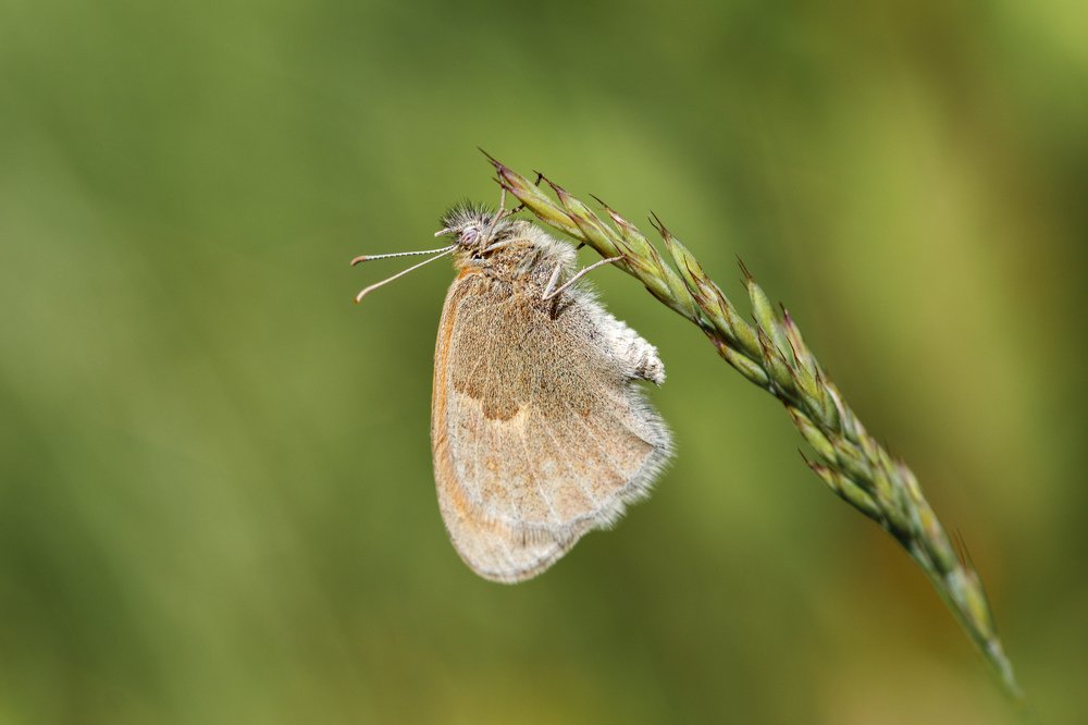 Photograph by Efremenko Nikita