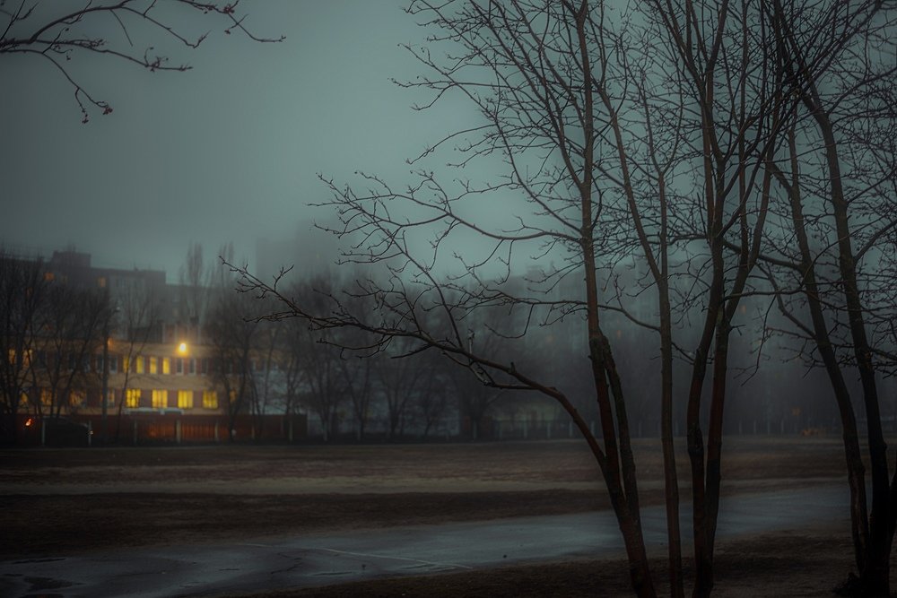 Photograph by Анастасия Бабенко