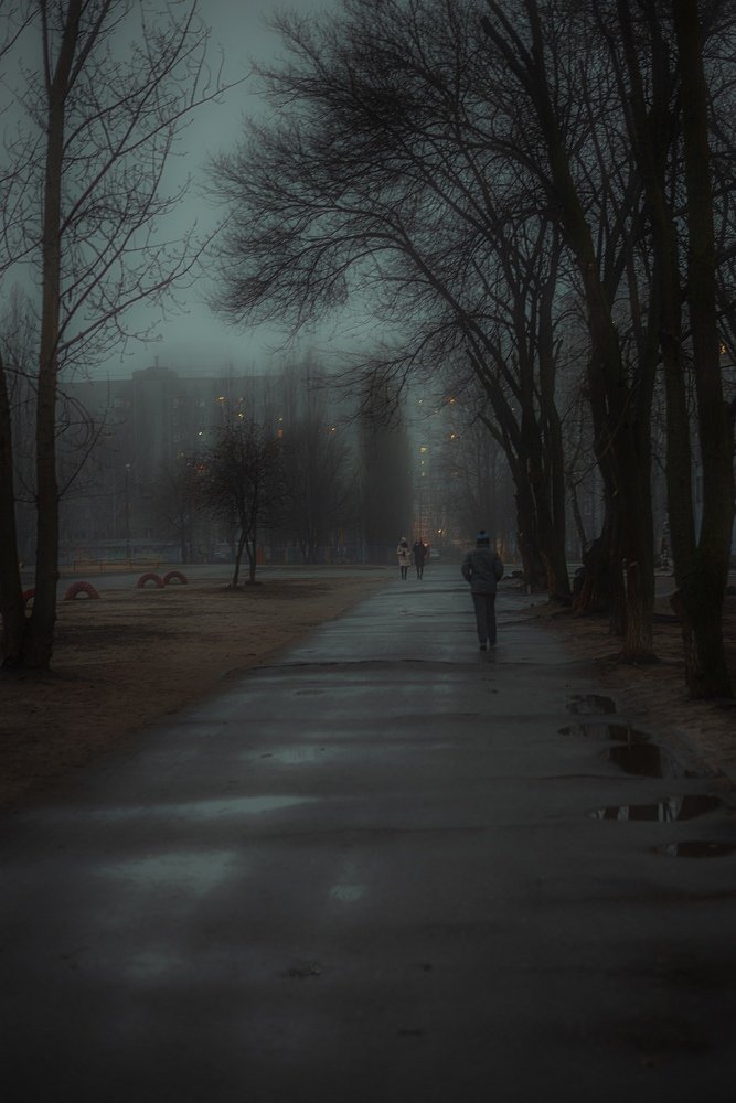 Photograph by Анастасия Бабенко