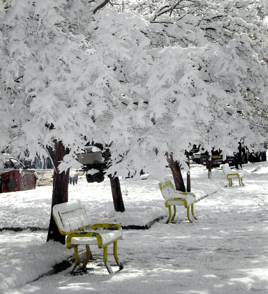 snow to park