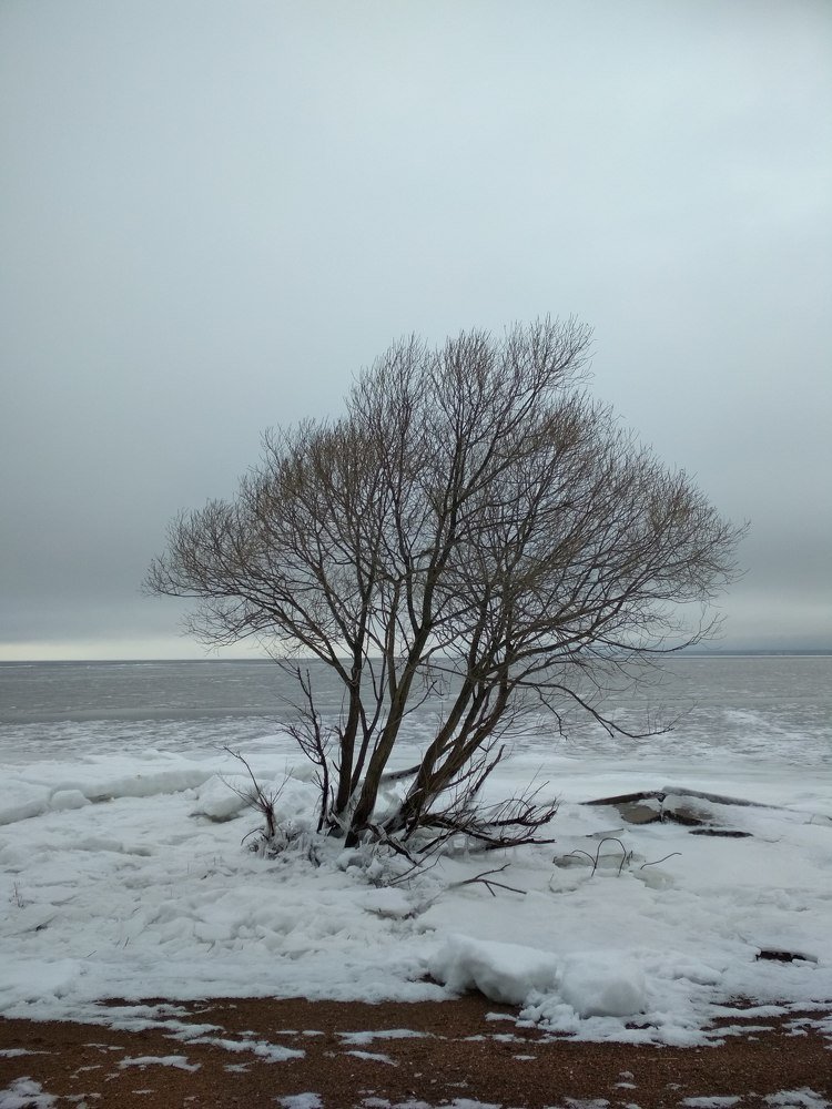 Photograph by Валентина