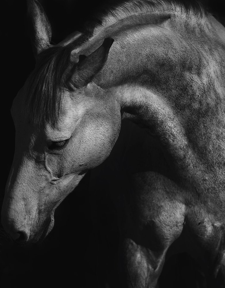 Photograph by Alexandre Marques