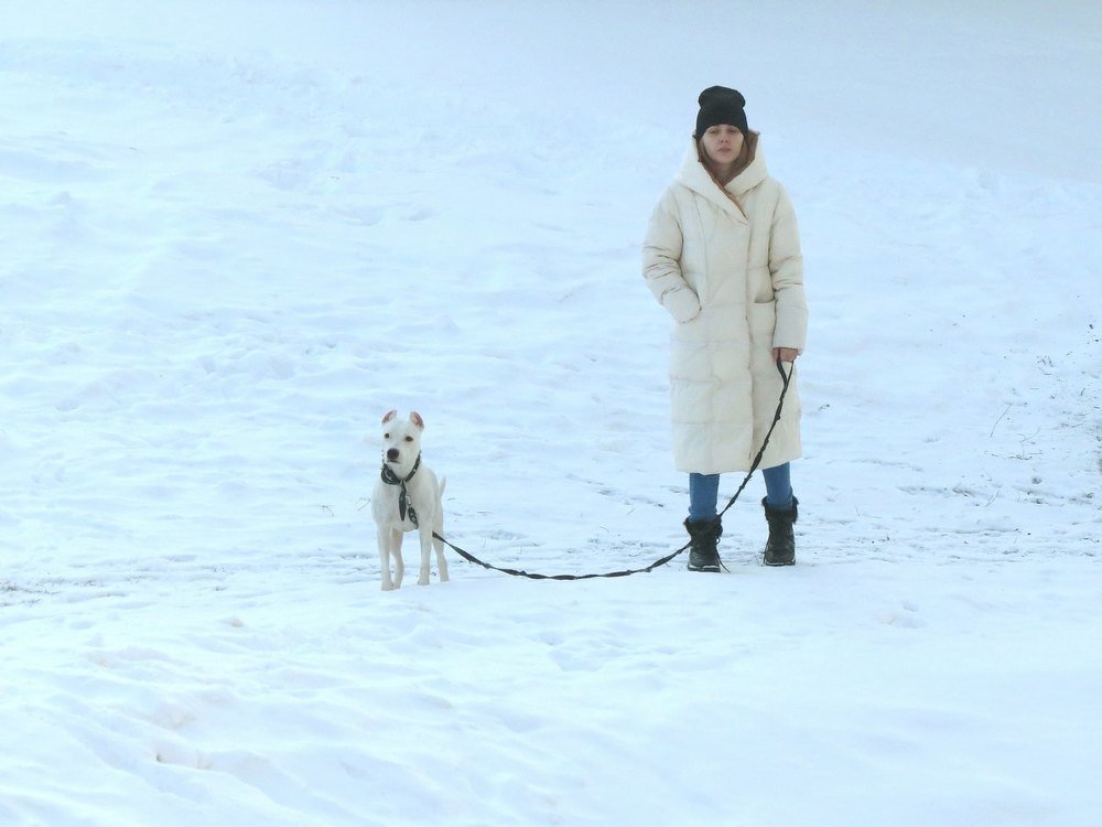 Кто на кого похож?