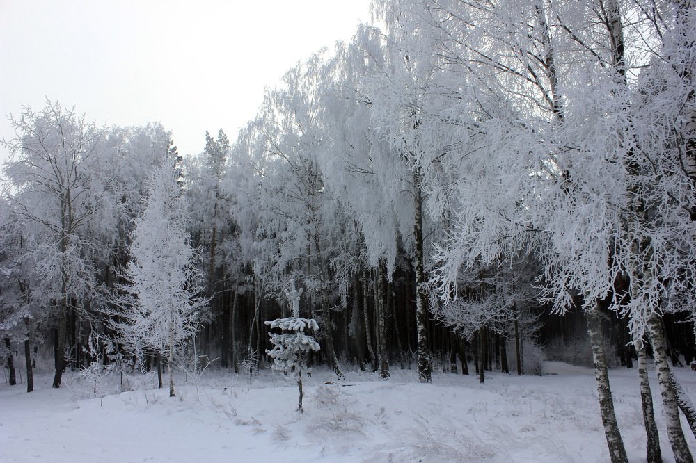 Photograph by Ольга Белостоцкая