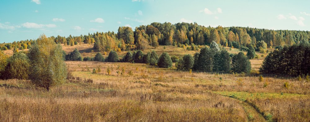 Photograph by Кирилл Огинов